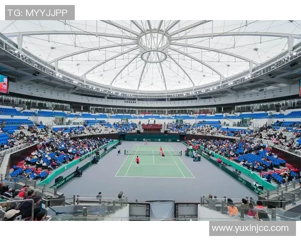 上海网球队在网球状态排行榜中荣获第五名展现强劲实力与潜力