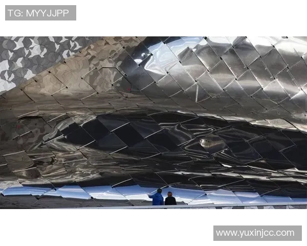 杭州排球队灵活性分析与战术创新的深度探讨